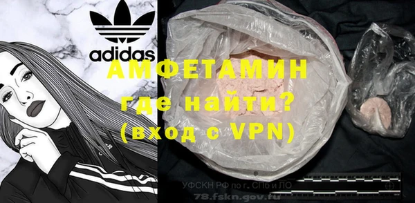 дурь Бородино