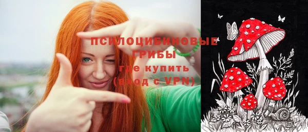 ГАЛЛЮЦИНОГЕННЫЕ ГРИБЫ Верея