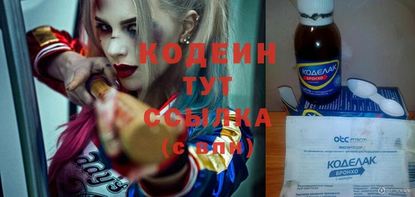 соль ск Богданович