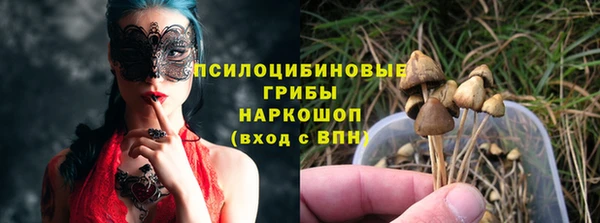 ГАЛЛЮЦИНОГЕННЫЕ ГРИБЫ Верея