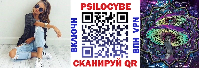 Галлюциногенные грибы Cubensis  цены наркотик  Хасавюрт 